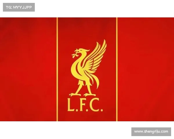 利物浦3500万英镑签下铁卫希勒称其他球队已无胜算 利物浦3500万英镑签下铁卫希勒称其他球队已无胜算