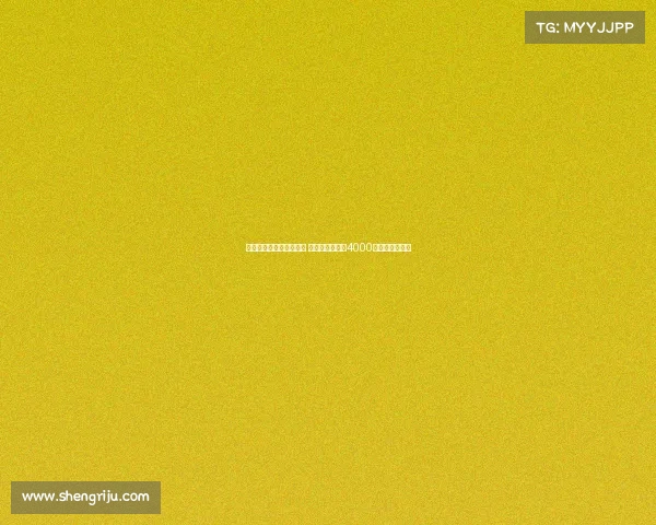 纽卡将提高报价争夺维萨 小蜜蜂坚持要求4000万镑为核心条件